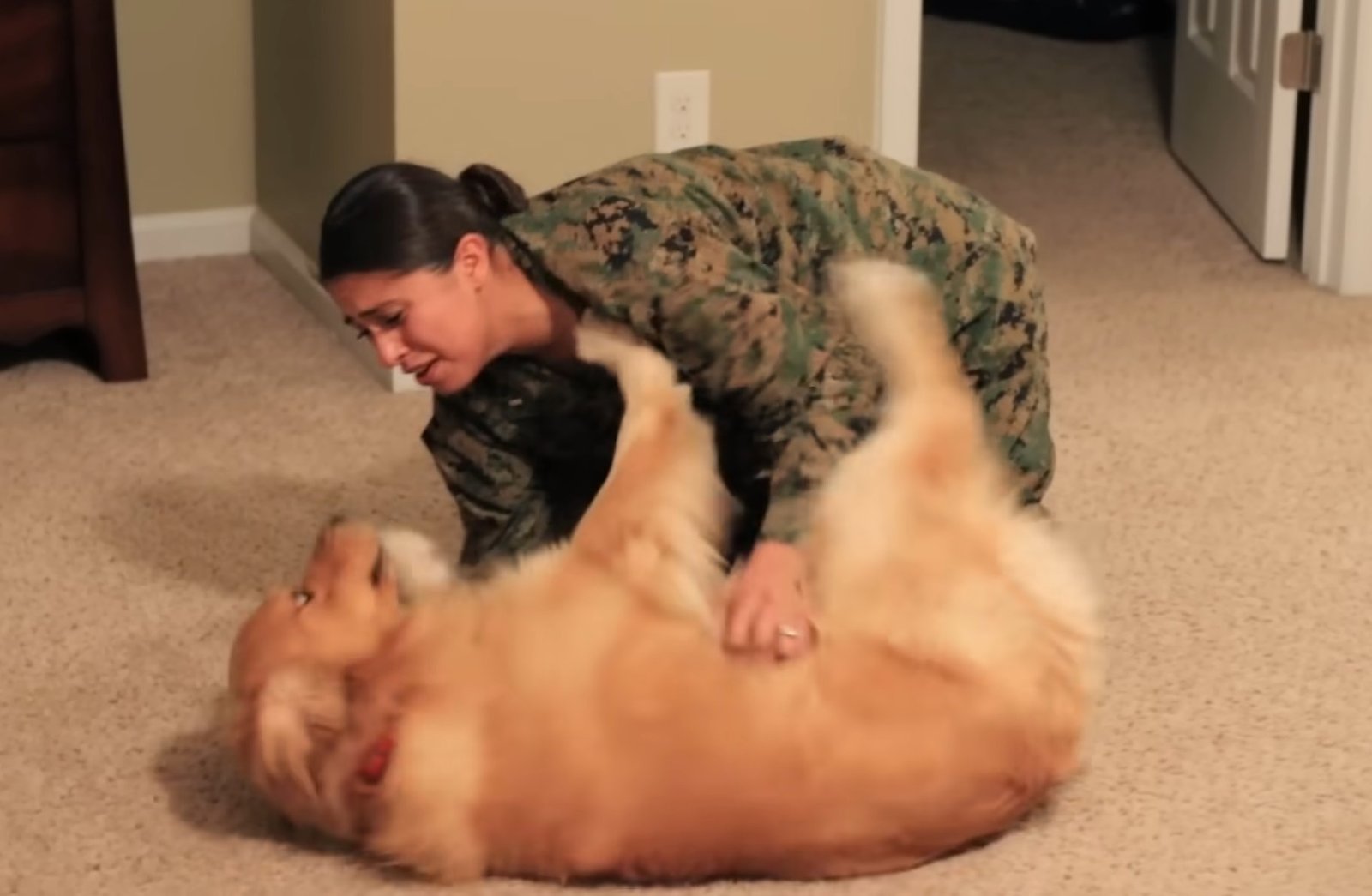 A Marine's 6-Year Reunion with Her Dog An Unforgettable Surprise That Warms Hearts Online