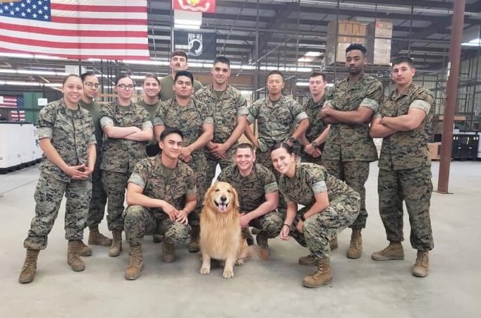A Marine's 6-Year Reunion with Her Dog An Unforgettable Surprise That Warms Hearts Online