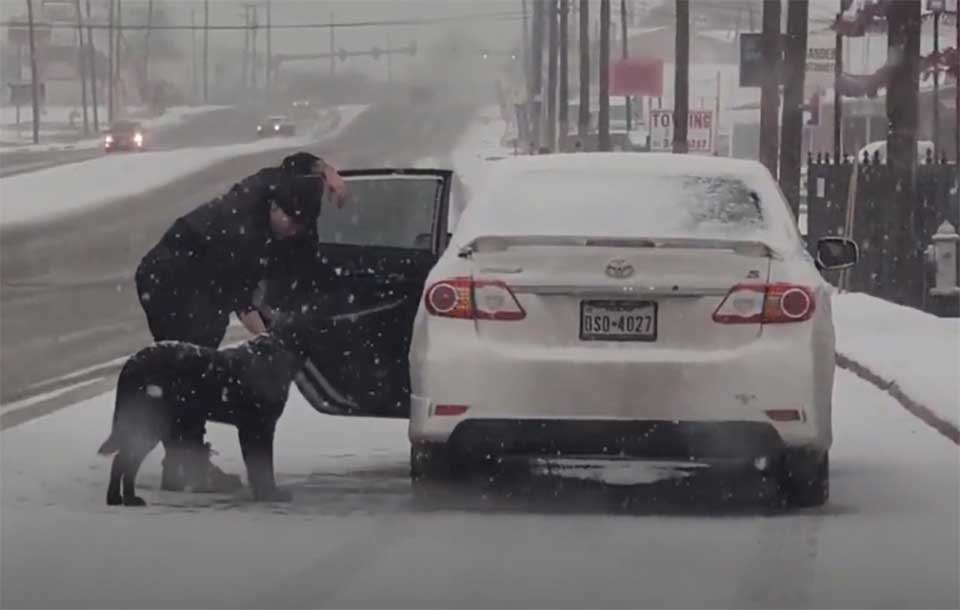 A Touching Act of Kindness: Woman Rescues Dog from Snow-Covered Road