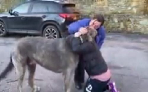 Tears of Joy: Their Emotional Reunion After Believing Her Dog Was Lost Forever